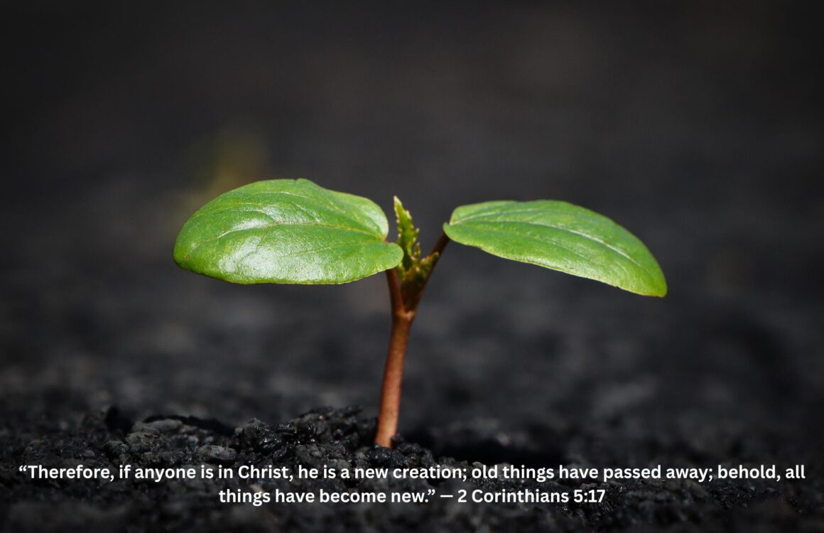 New Birth and its Realities