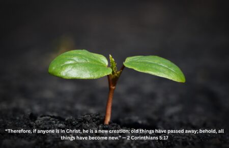 New Birth and its Realities
